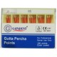 Conuri gutaperca 5+1 gratis